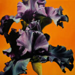 daniel-green-art-iris-black-purple-orange